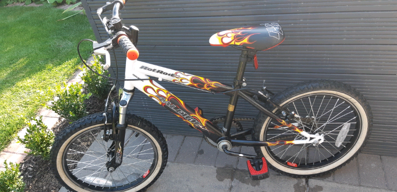 raleigh childrens bike